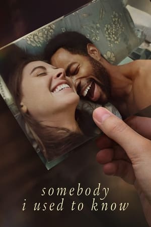 Somebody I Used to Know 2023 Hindi Dual Audio –